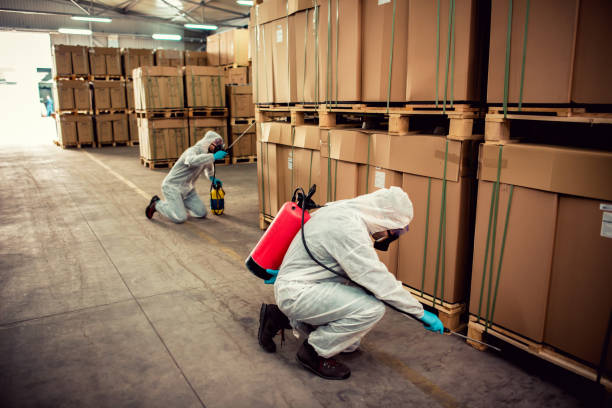 Best Pest Control for Homes  in Springdale, NJ