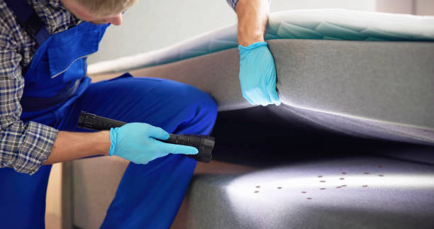 Best Emergency Pest Control  in Springdale, NJ