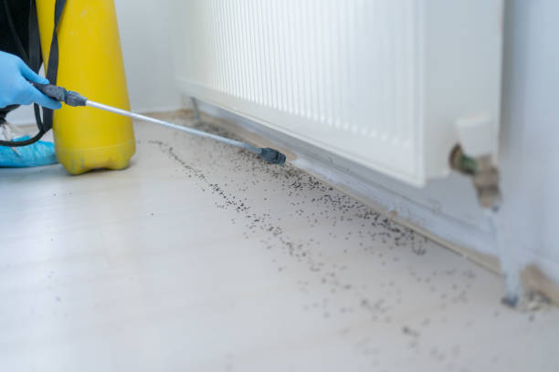 Best Pest Inspection Near Me  in Springdale, NJ