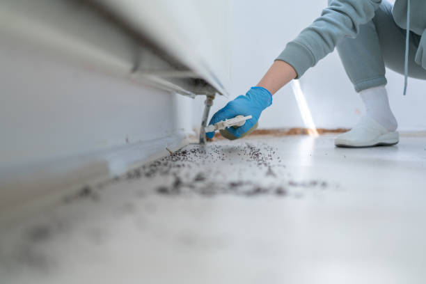 Best Pest Removal Services  in Springdale, NJ